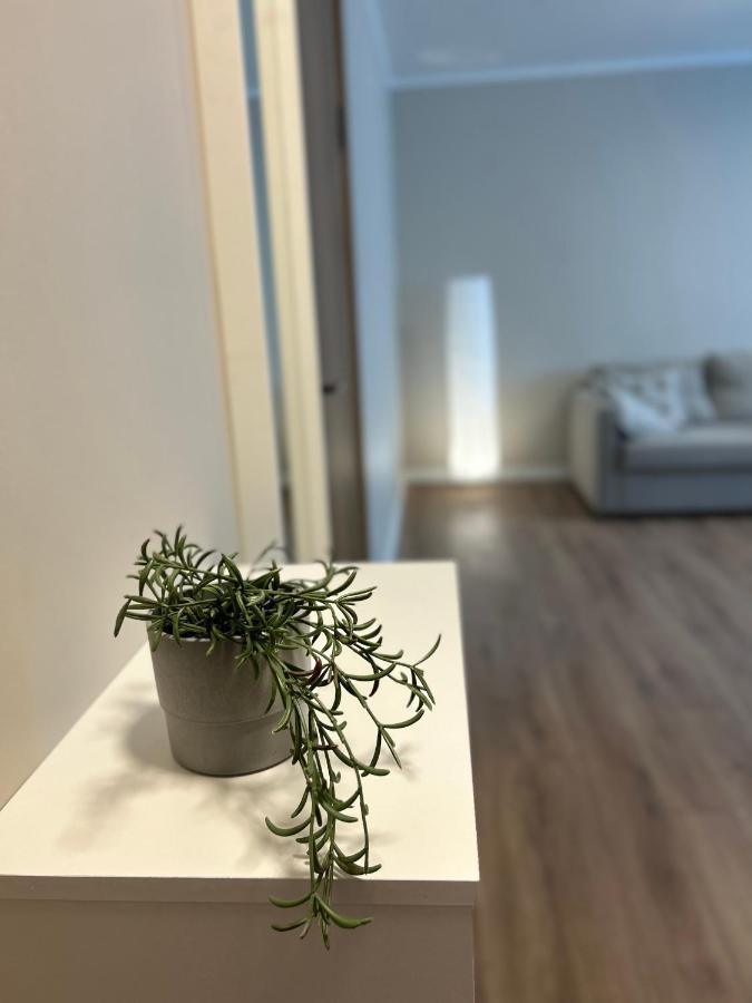 Skandi Appartments In Saldus City Center Eksteriør billede