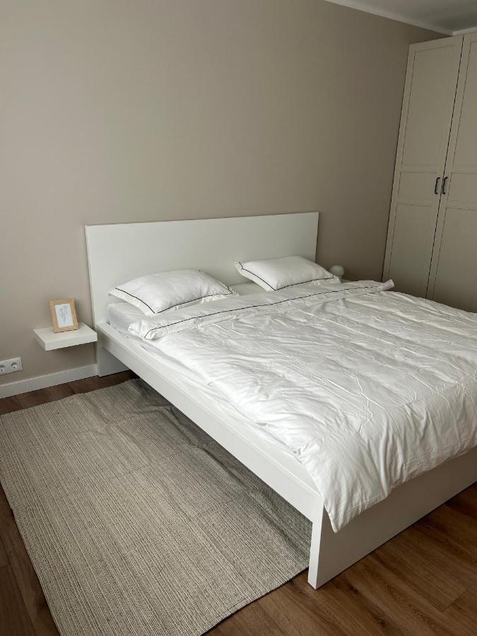 Skandi Appartments In Saldus City Center Eksteriør billede